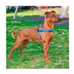 Imagen de Collar azul y animalitos 37-45cm x 25mm
