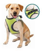 Imagen de Arnes de seguridad perro S