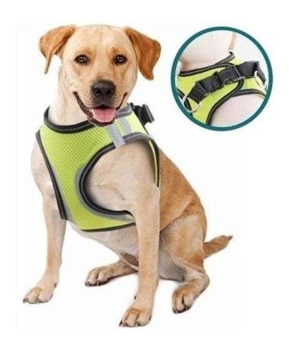 Imagen de Arnes de seguridad perro S