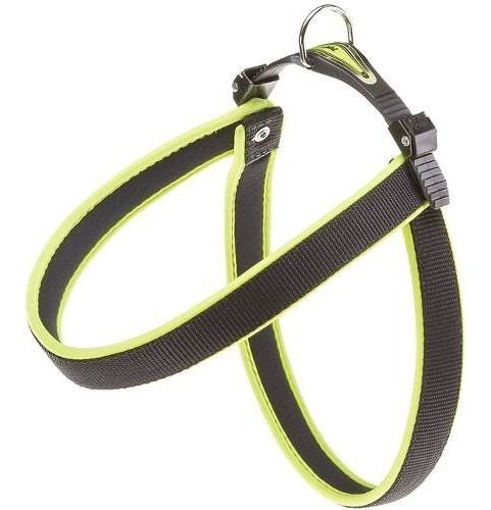 Imagen de Arnes verde fluo 44-52cm