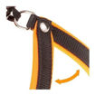 Imagen de Arnes naranja fluo 37-45cm
