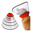 Imagen de Collar isabelino extra grande XL