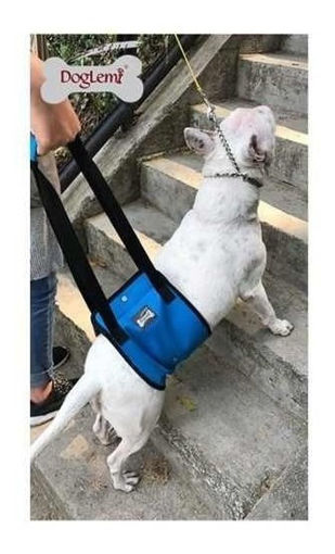 Imagen de Arnes para caderas DogLemi XL