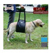 Imagen de Arnes para caderas DogLemi XL