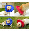 Imagen de Collar isabelino I-Mascotas L
