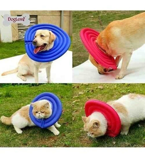 Imagen de Collar Isabelino Para Mascotas Talle S 22cm Azul