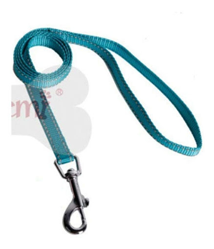 Imagen de Correa Neon Talle M Diferentes Colores