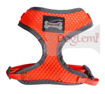 Imagen de Pechera perro XL