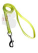 Imagen de Correa Neon Talle M Diferentes Colores