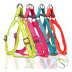 Imagen de Arnes de neon Doglemi L