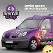 Imagen de Arnes de control M