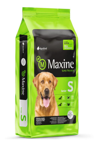 Imagen de Maxine Senior 21K