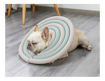 Imagen de Collar Isabelino Para Mascotas Talle L 28cm Verde/rosa