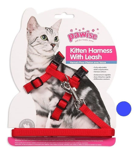 Imagen de Arnes para gato talle L azul