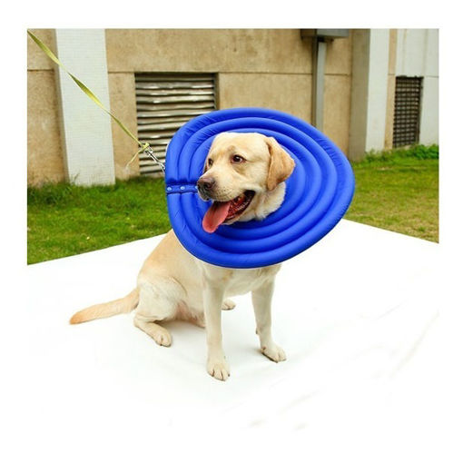 Imagen de Collar Isabelino Para Mascotas Talle Xl 33cm Azul