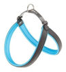 Imagen de Arnes celeste fluo 50-58cm