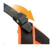 Imagen de Arnes naranja fluo 42-50cm