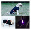 Imagen de Capa impemeable luces led XL DogLemi