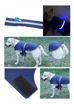 Imagen de Capa impemeable luces led XL DogLemi