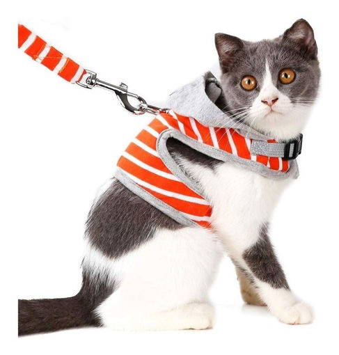 Imagen de Buzo para gato + correa XS