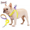 Imagen de Arnes + Correa fashion color Todos los Talles
