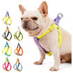 Imagen de Arnes + Correa fashion color Todos los Talles