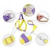 Imagen de Arnes + Correa fashion color Todos los Talles