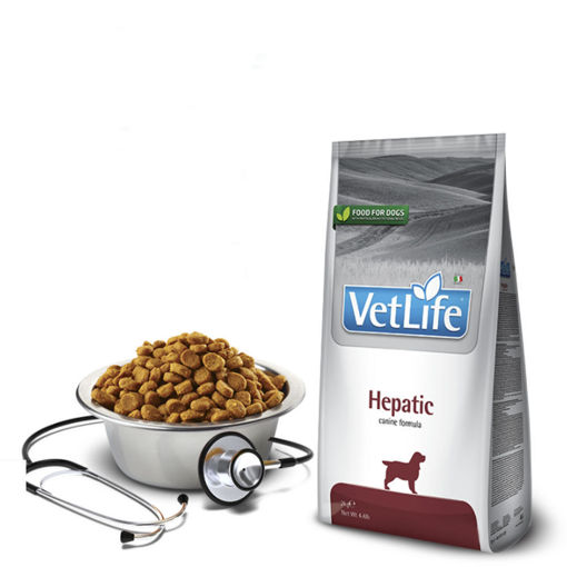 Imagen de VET NAT CAN HEPATIC 2KG