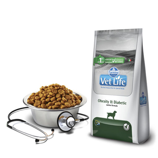 Imagen de VET NAT CAN OBESITY DIABETIC 2KG