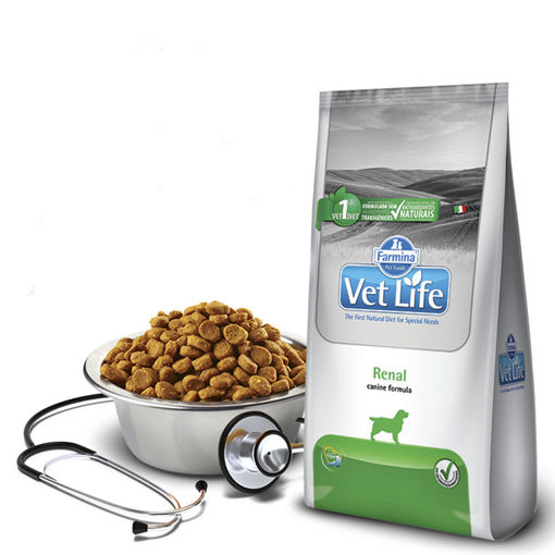 Imagen de VET NAT CAN RENAL 2KG