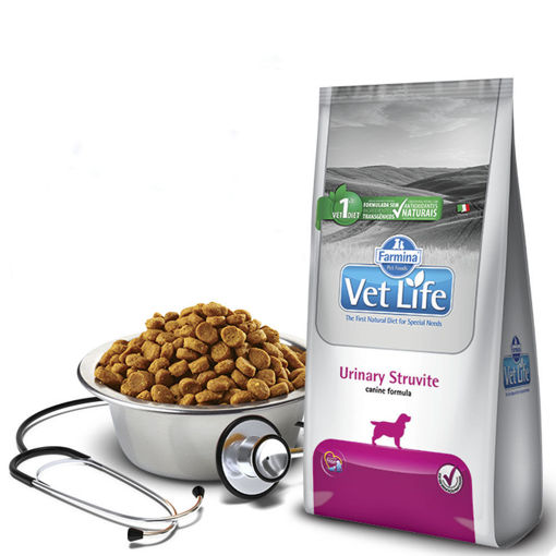 Imagen de VET NAT CAN URINARY STRUVITE 2KG
