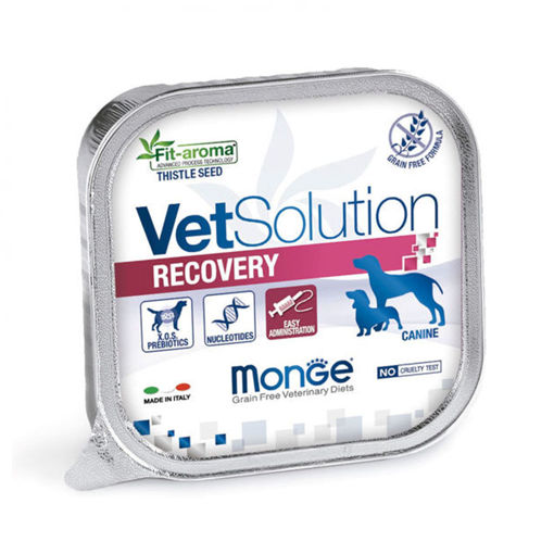 Imagen de Vet Solution dog recovery 150g