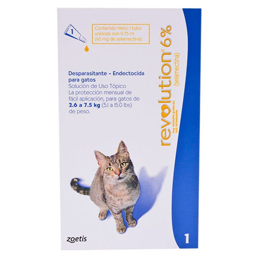 Imagen de Revolution gatos