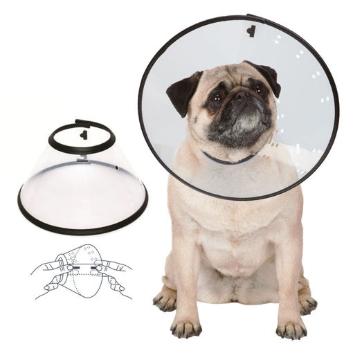 Imagen de Collar isabelino Mpets talle M
