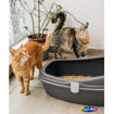 Imagen de Sanitario Gatos WC Furba - Grande -  Gris Pardo