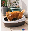 Imagen de Sanitario Gatos WC King - Medio - Topo/Gris