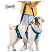 Imagen de Elevador para perros de cuerpo completo S