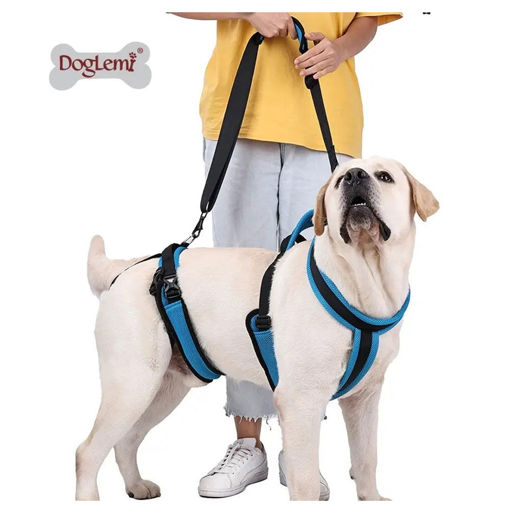 Imagen de Elevador para perros de cuerpo completo S