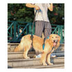 Imagen de Elevador para perros de cuerpo completo S