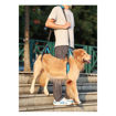 Imagen de Elevador para perros de cuerpo completo S