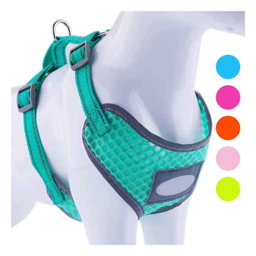 Imagen de Pechera perro S