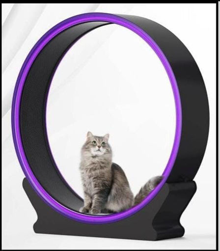 Imagen de Cinta caminadora para gatos SMART WIFI