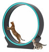 Imagen de Cinta caminadora para gatos SMART WIFI