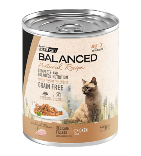 Imagen de Balanced Natural Recipe gato filetes pollo 340g