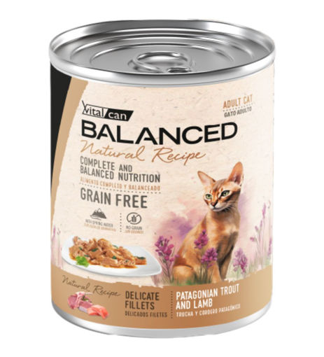 Imagen de Balanced Natural Recipe gato filetes trucha y cordero 340g