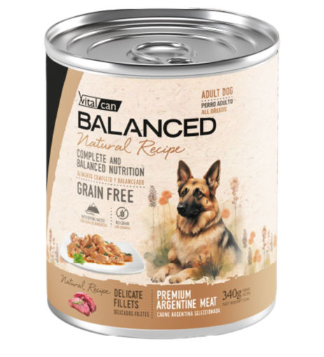 Imagen de Balanced Natural Recipe perro filetes carne 340g