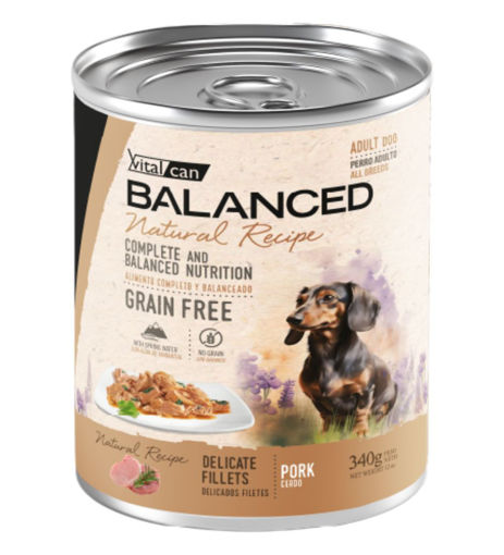 Imagen de Balanced Natural Recipe perro filetes cerdo 340g