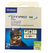 Imagen de Effipro Duo Kitten 1-6kg