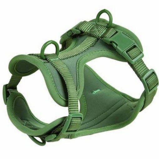 Imagen de Arnes PEPITO M Verde