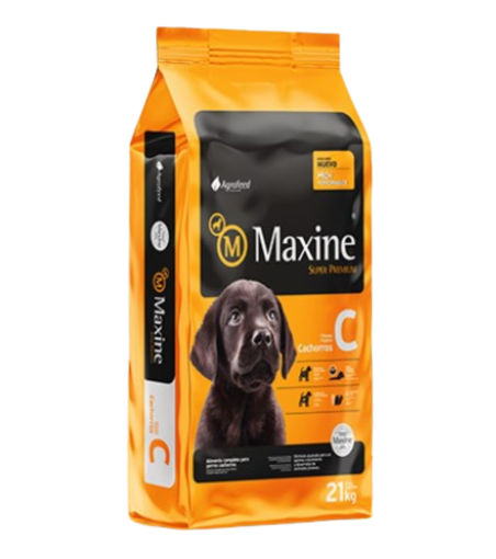 Imagen de Maxine cachorros 21k